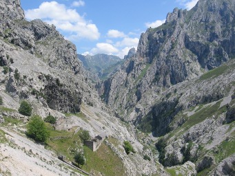 Picos de Europa